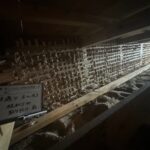 史跡草津宿本陣　耐震補強工事